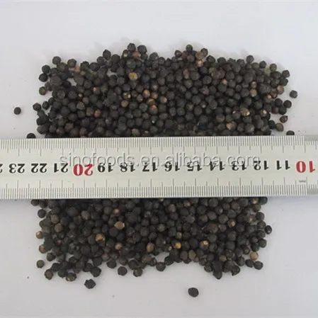 
Malabar spinach seeds supplier 