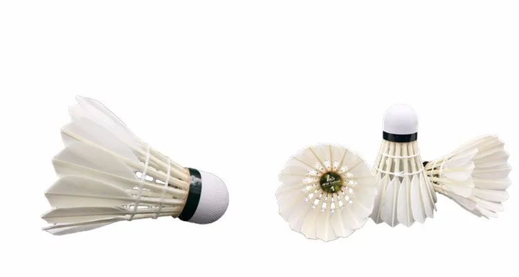 Anhui Linton durable quality as brand custom logo duck feather badminton shuttlecock