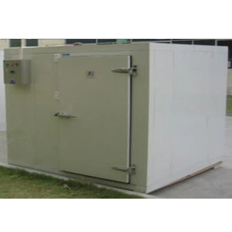 Famous Brand Insulated Panels For Cold Storage Prefabricated Small Cold Room Chicken Blast Freezer For Sale