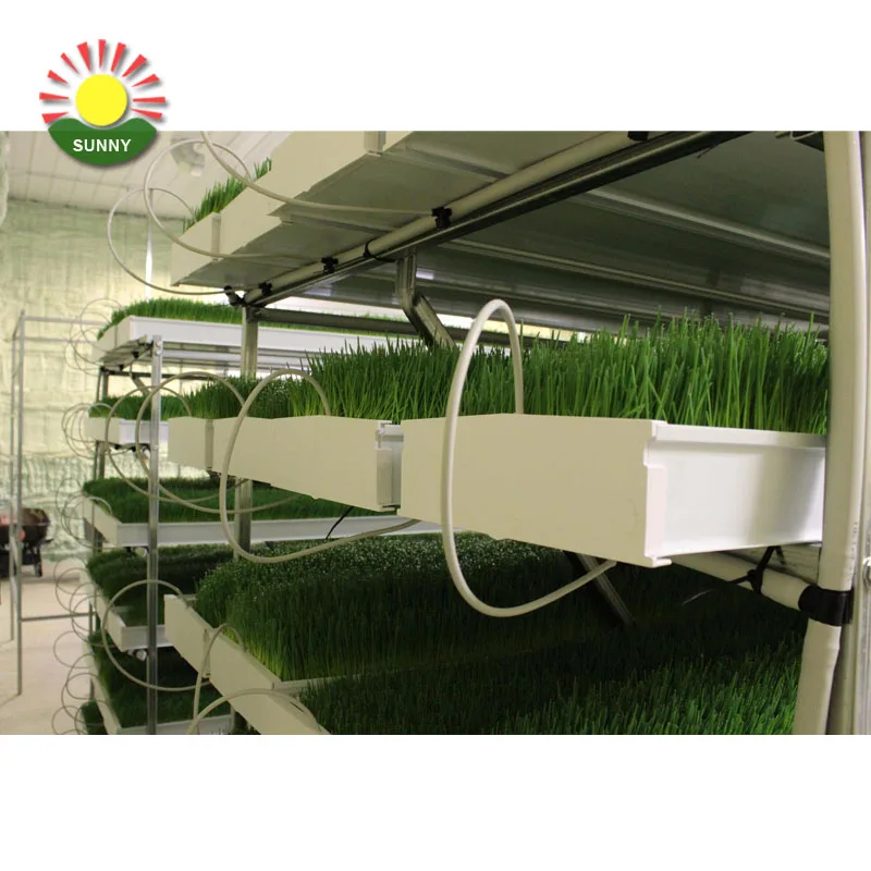 Hot sale healthy fodder system water-saving cattle green fodder growing machine