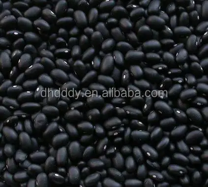 
NEW crop black kidney bean 