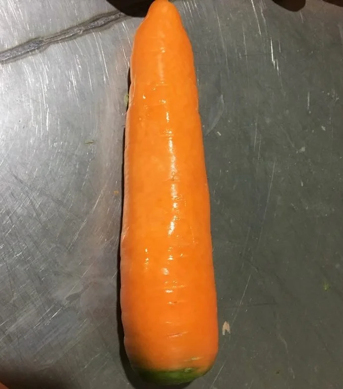 New Season Fresh Carrot Supplying All the Year Round
