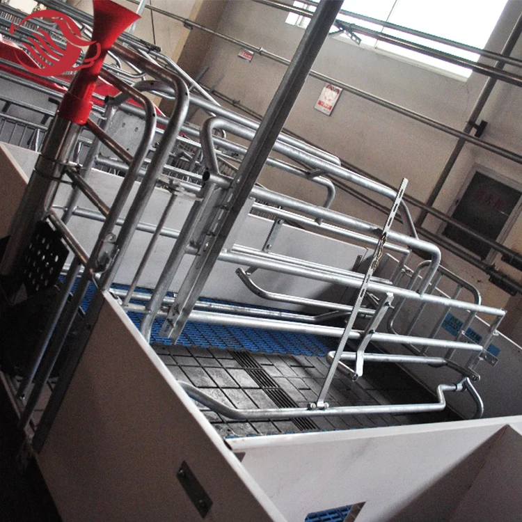 Piggery Farm Equipment, Galvanized Pig Farrowing Crates