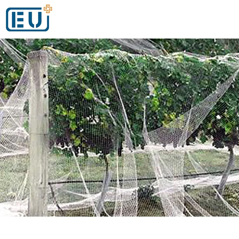 
Against Anti Aviary Pheasant Pigeon Crop Net Mist Wire Garden Screen Mesh Netting for Birds Plant Strawberry Tree Protection 