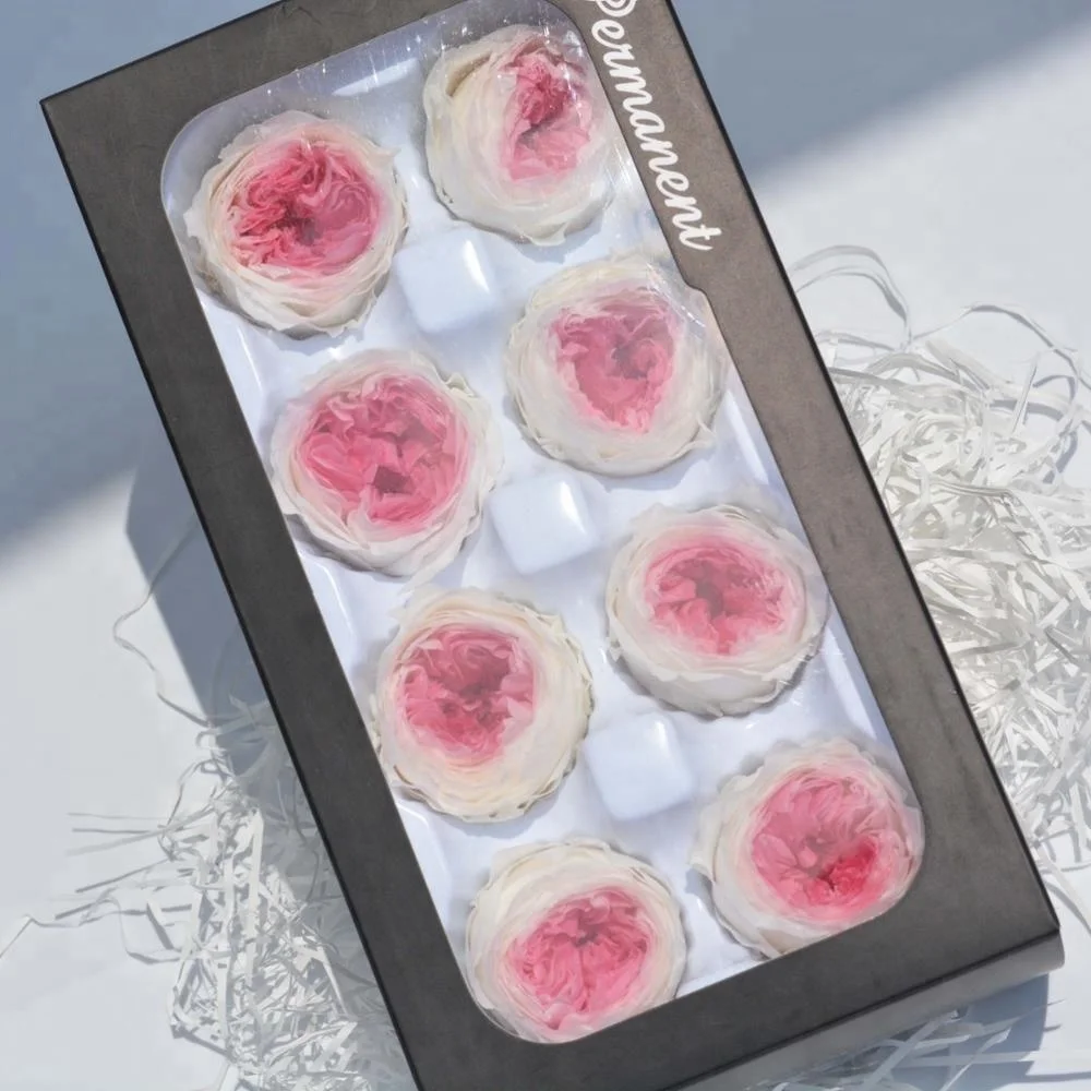 Best Online Export Sells Fresh Preserved Austin Roses Flowers for Key Chain