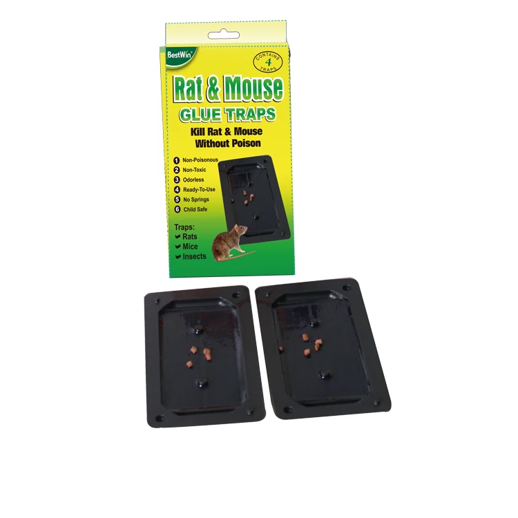 BSTW Rat Killer cyanoacrylate adhesive rat adhesive