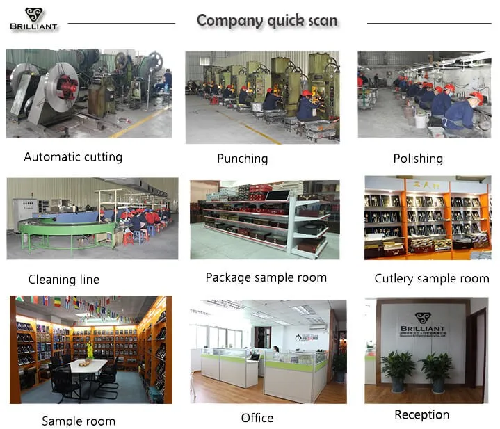 Brilliant company scan