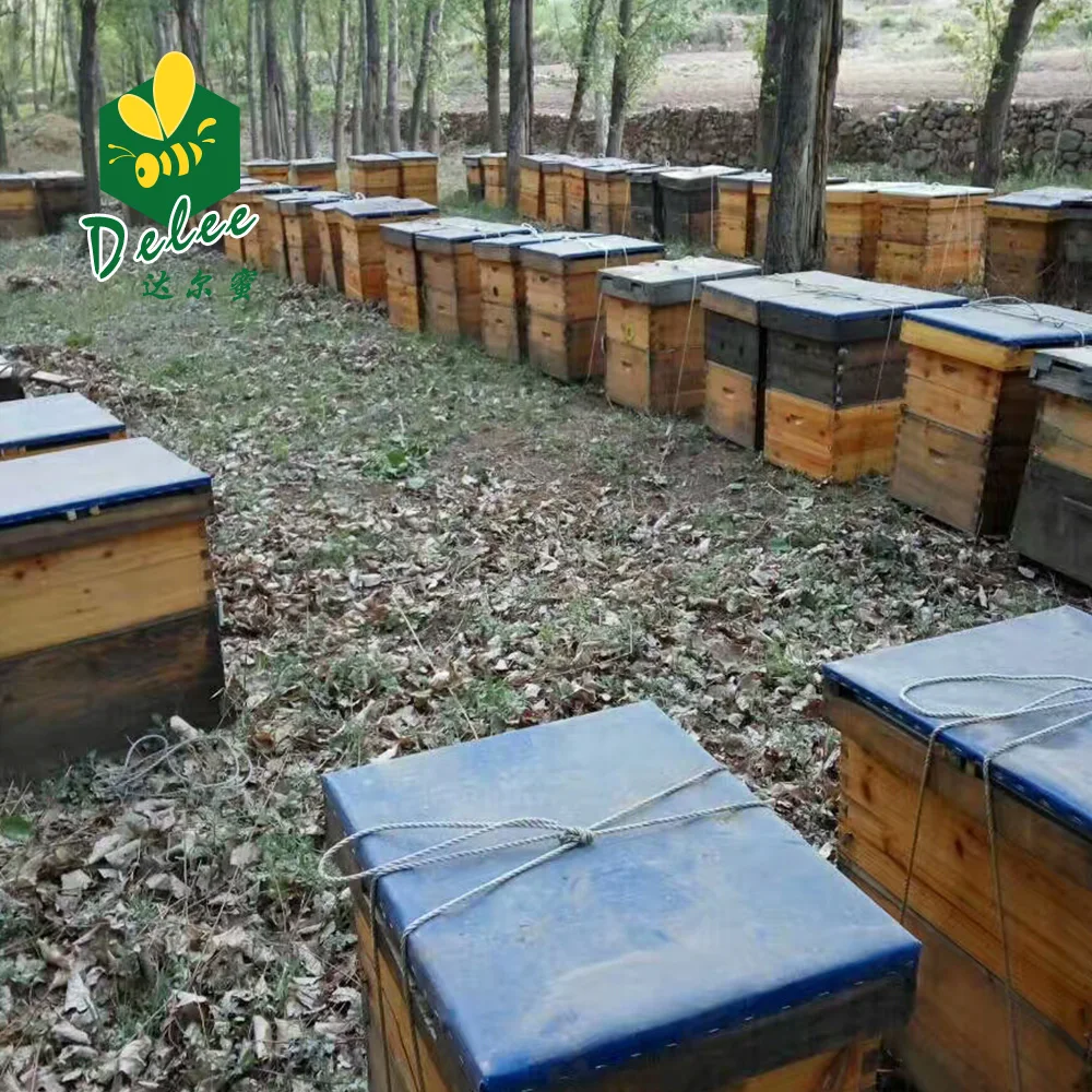 Factory Supply Wholesale  Chinese Premium Bee Honey