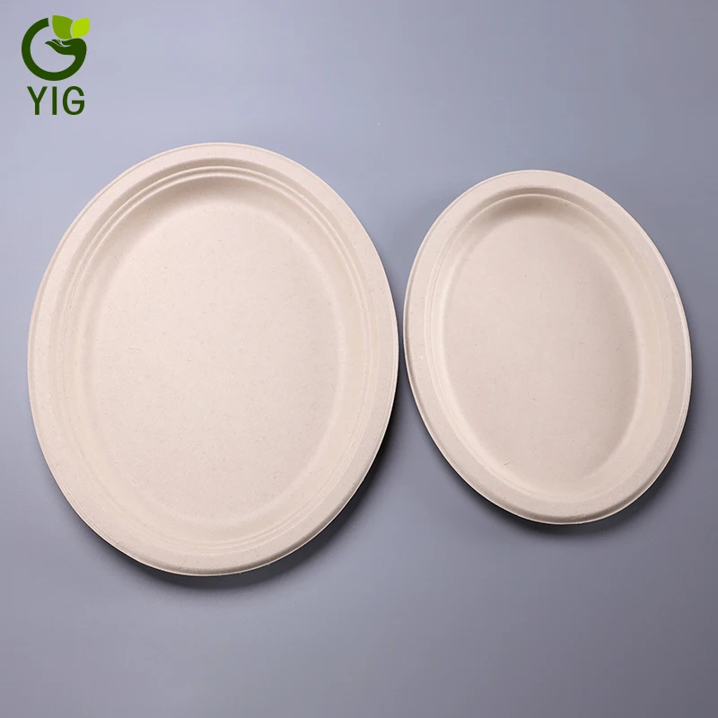 
10 Inches 100% Eco Friendly Disposable Sugarcane Oval Plates 