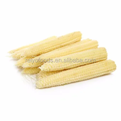 
canned baby corn 