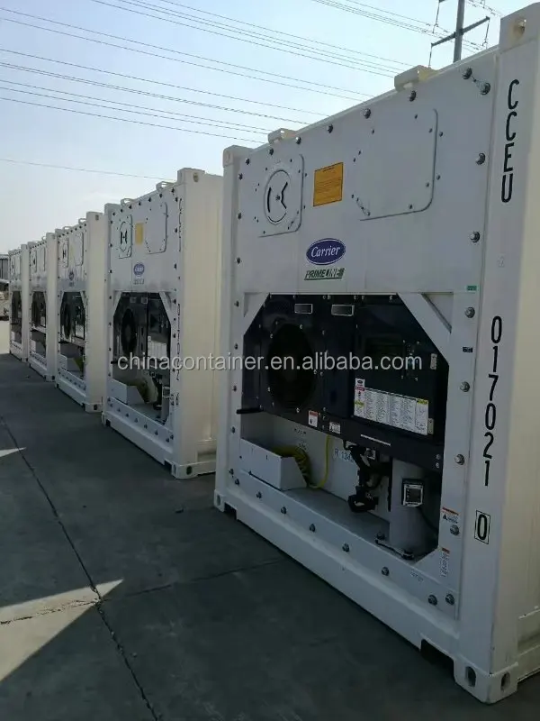 20 Feet New Reefer Container (Thermo King, Carrier, Daikin)