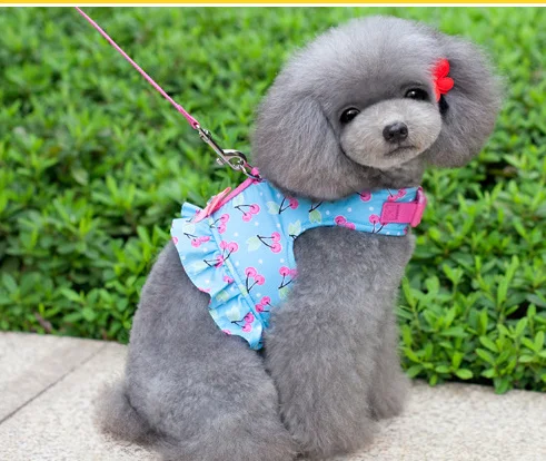 
Breathable fashionable pet chest and back cover traction suit vest style pet harness 