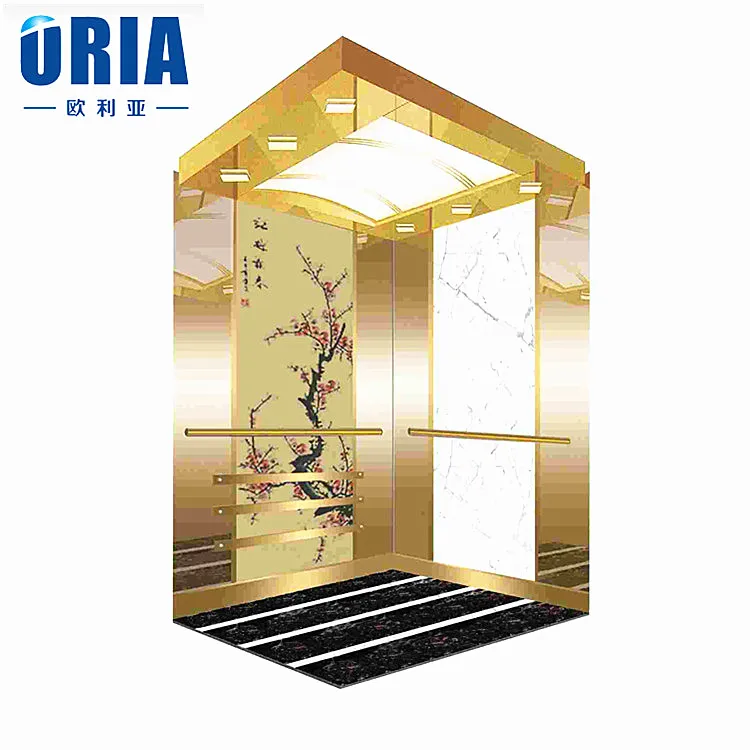 Luxury design elevator and good price for golden cabins passenger elevator