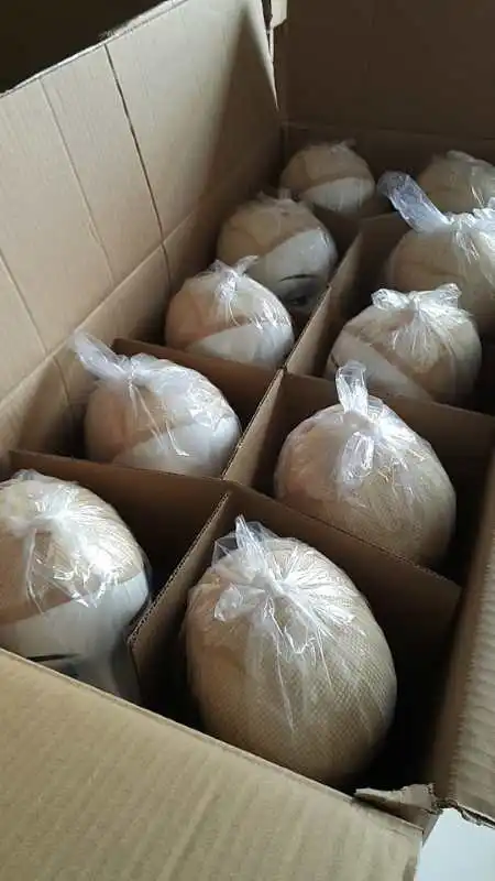 2022 Fashion Mannequin head Wig Display Head Dummy Head For Wig Display