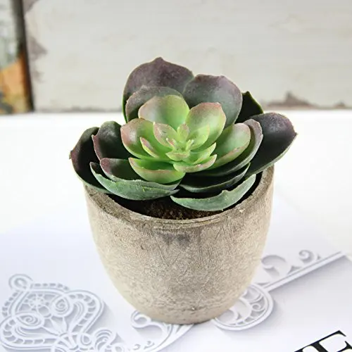 Set of 5 Assorted Decorative Faux Cactus Faked Plants Small Artificial Succulent with Gray Pot