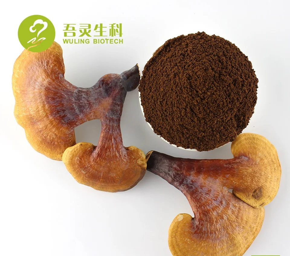 
3 в 1, оптом гриба Рейши латте кофе Смешайте с Львиная Грива Гриб экстракт Чаги 