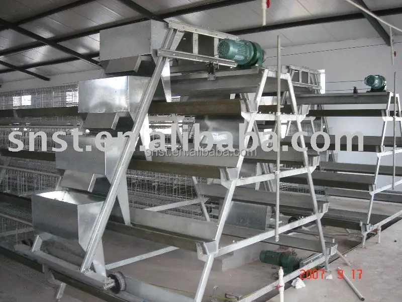 Good price second hand poultry show cages with CE certificate