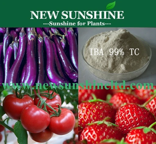 
99% Root Hormone IBA High Quality Indole Butyric Acid Iba agricultural chemical Indole butyric acid IBA 