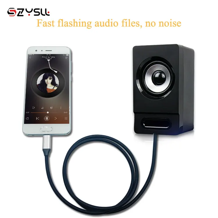 Fast Charging Type c to Type c USB cabe 5A 3.3 ft  6.6ft  10ft USB 3.1 Gen2 cable