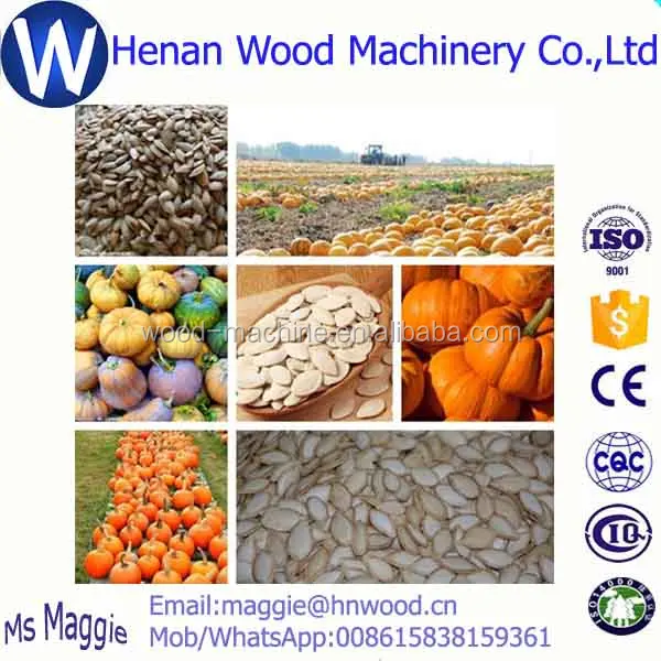 Harvesting+extracting melon seeds extractor/pumpkin seeds processing machine/pumpkin seeds extractor WhatsApp 008615838159361