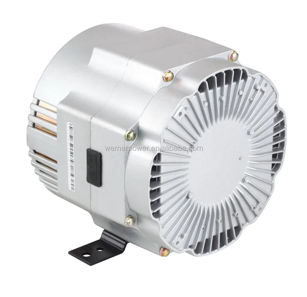 230V Hot Sale Alternator Assembly 5KW for werner