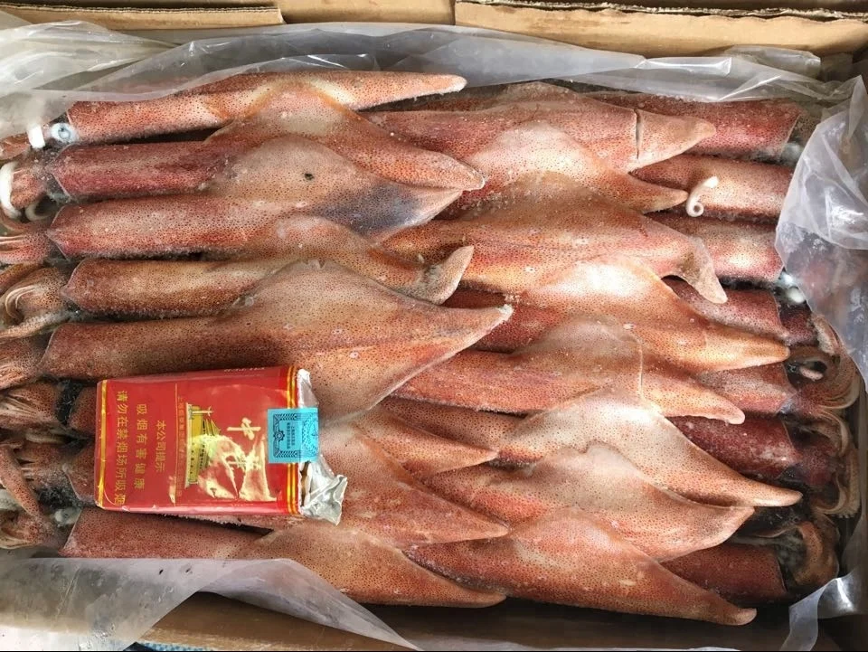 Новое поступление, цельная круглая замороженная логомерная кальмара, цена