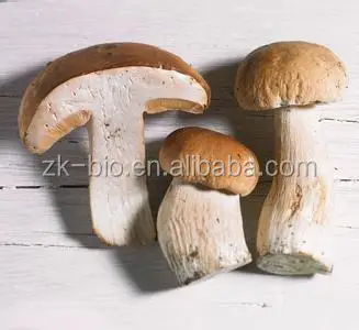 
Dried Boletus Edulis 