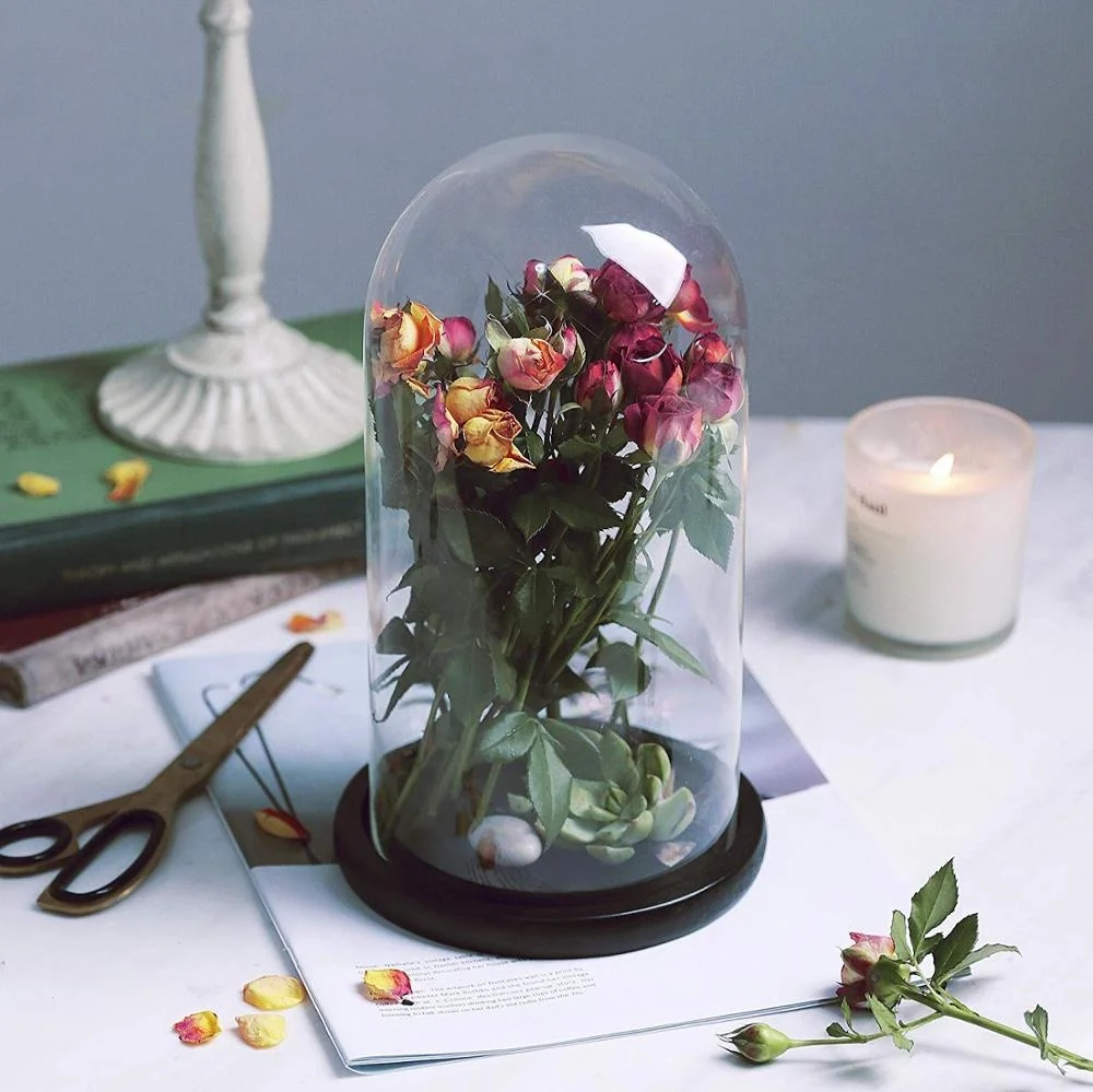 
Glass Display Dome Cloche/Clear Glass Display for decorative items 