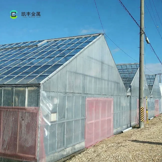 Green Houses Agriculture Plastic Film Greenhouse for flower