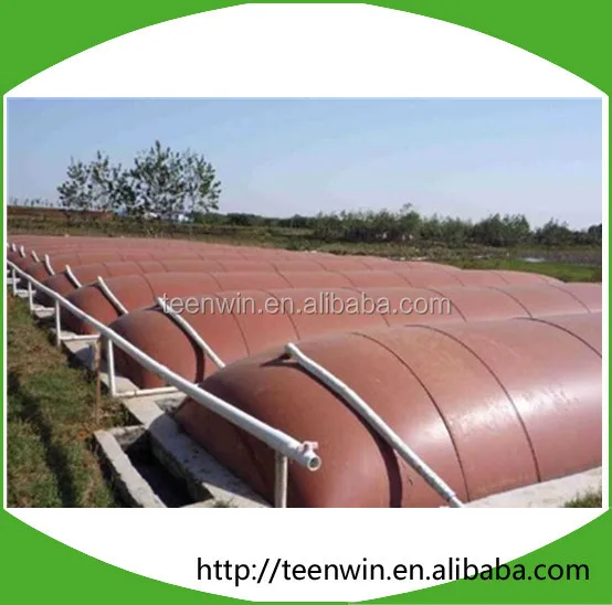 Teenwin 20m3 soft biogas/digester Plant for animal farm waste/stool treatment