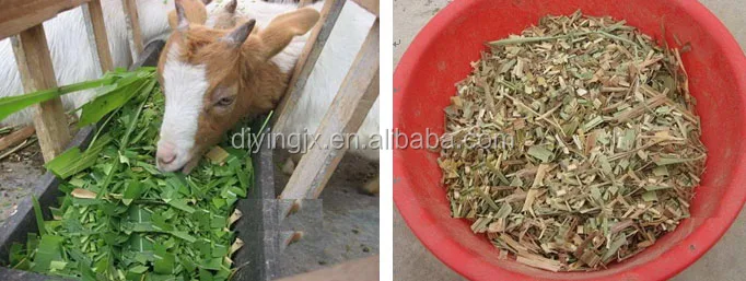 Fodder Straw Crusher / Cow Fodder Chaff Cutter / Green Maize Straw Cutter Machine Price