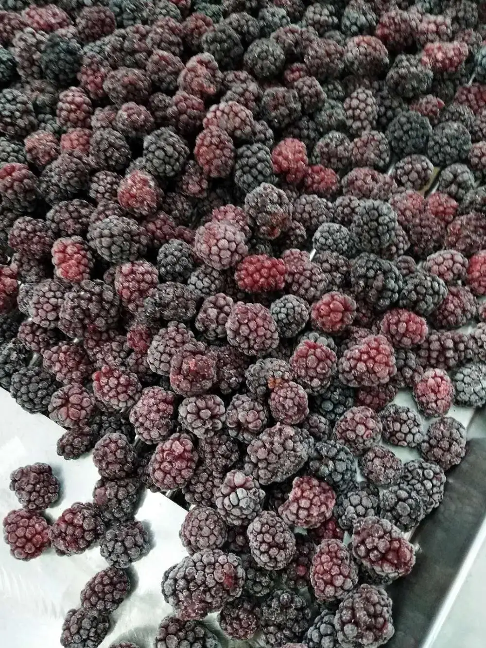 Blackberry