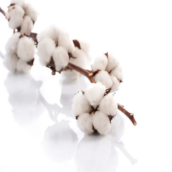 
2015 hot sale functional temperature control thermoregulation cotton fiber 