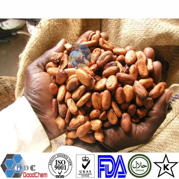 
High Quality Organic Cocoa Butter for Sale 