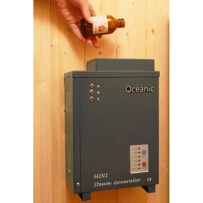 Oceanic Mini Electric Sauna Aroma Steam Generator 500W 750W 1KW small steam generator for sale