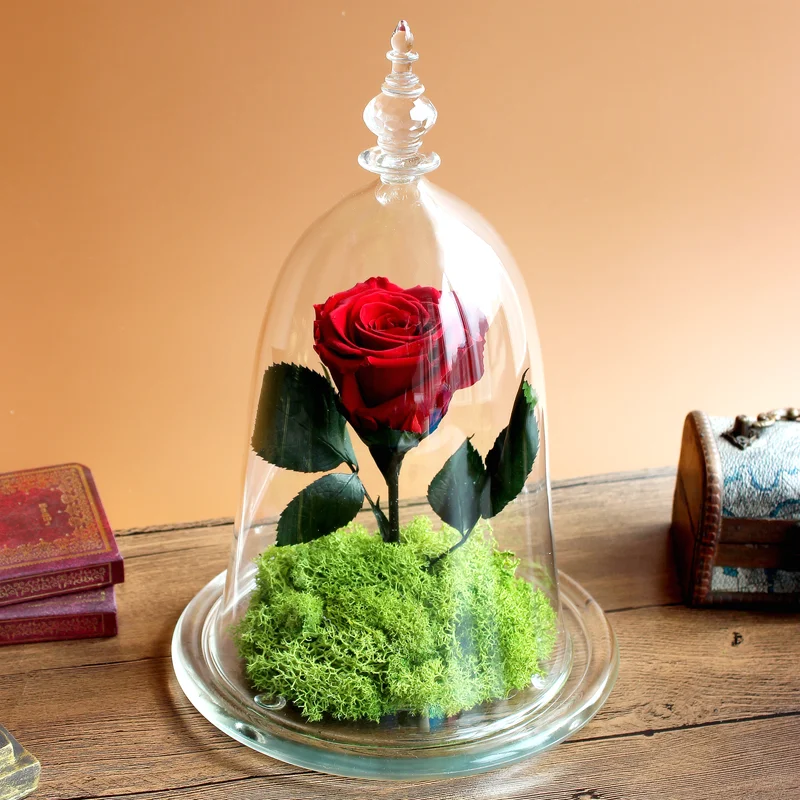 
Decorative wholesale glass dome with base in China 