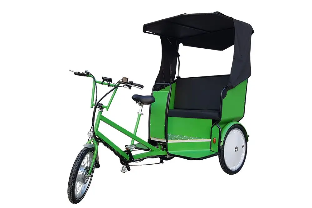 Hot sale 2 Passengers Mini Taxi Electric Assistant Touring Pedicab Rickshaw