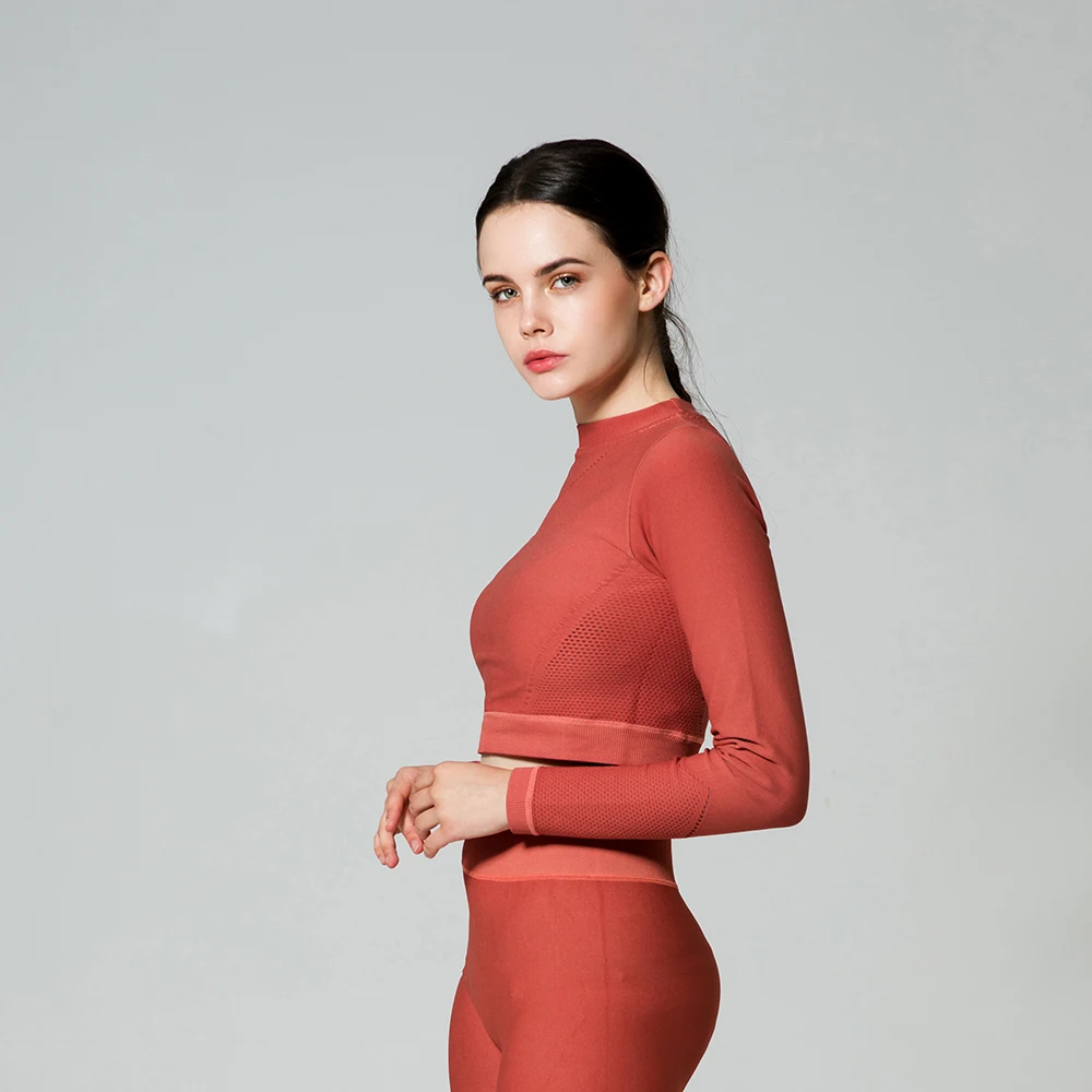 wholesale Plain blank sport shirt long sleeve women workout sports crop top for women