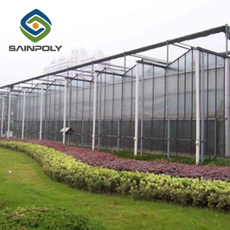 Продажа высококачественных Стеклянных гидропонных томатных панелей для теплиц