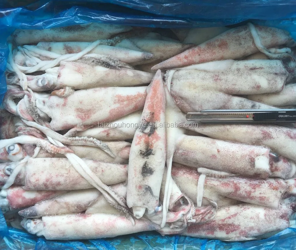 new frozen block Chinese loligo squid Whole round 8-13cm,13-18cm,18-22cm