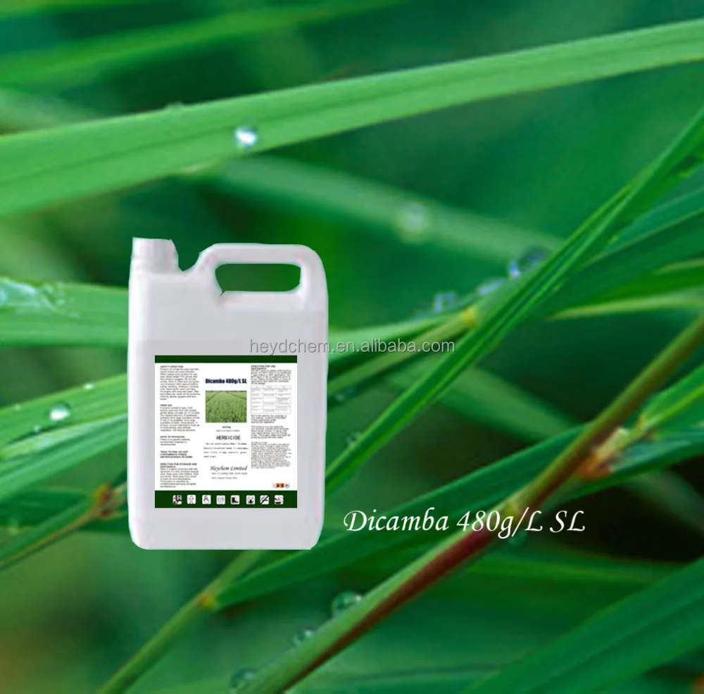 
Agrochemical Dicamba 48% SL Effective Agrochemical Herbicide Dicamba Camba 