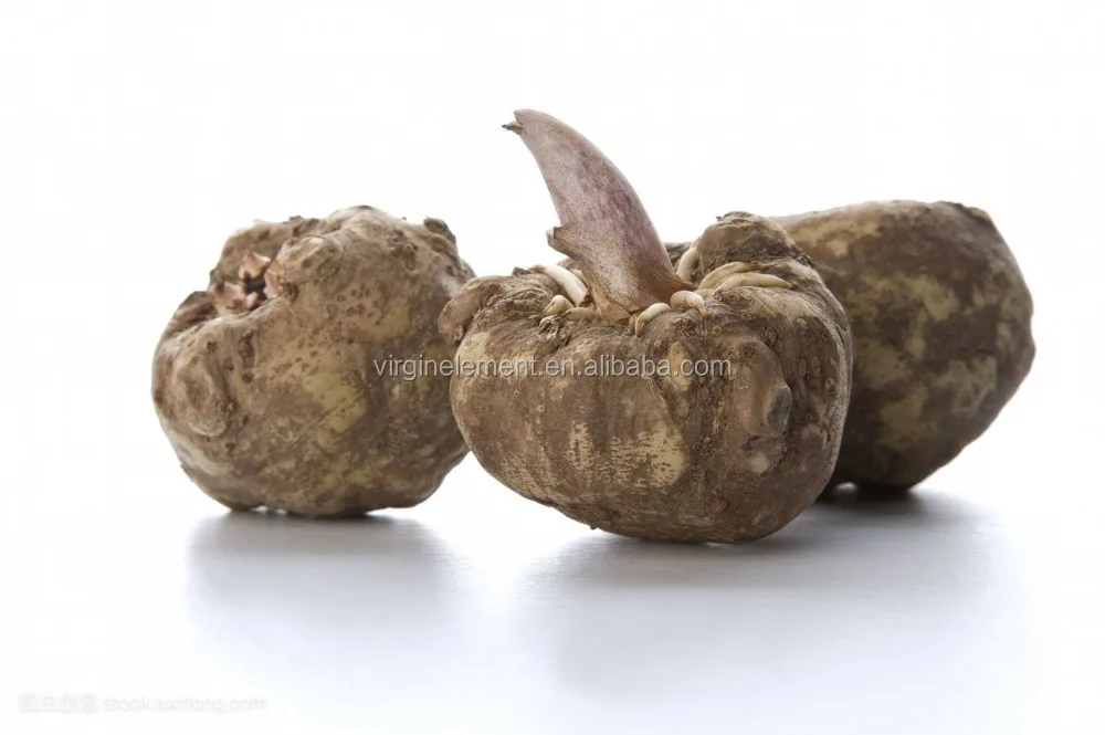 
100% Nature konjac extract glucomannan powder 