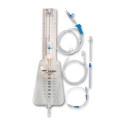 
External Lumbar Drainage System 