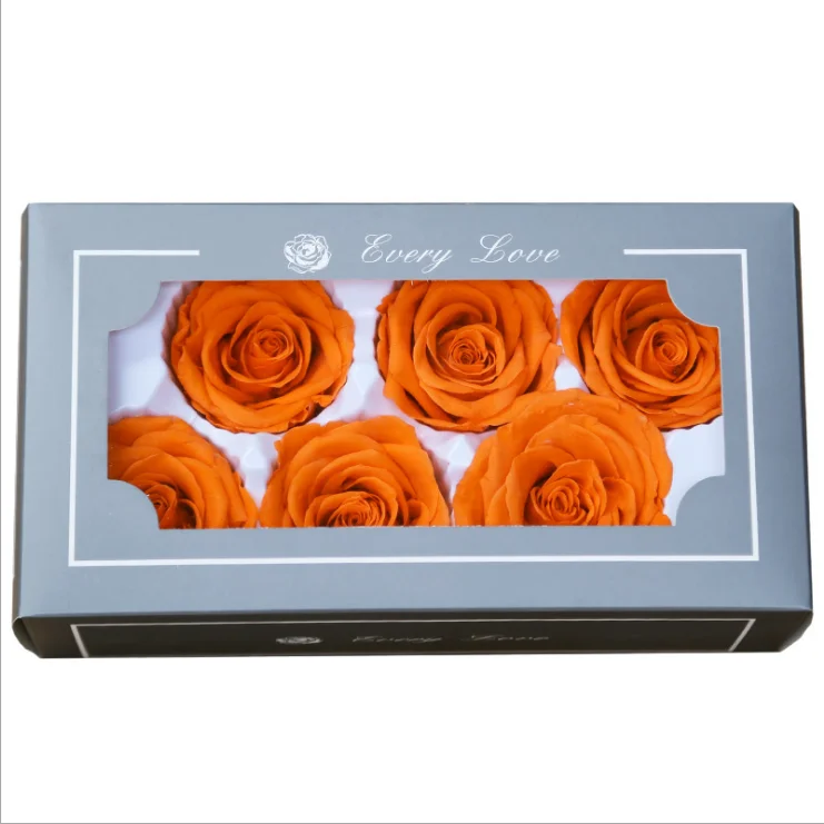 Wholesale Fresh Ecuador Preserved Roses Stabilized Roses