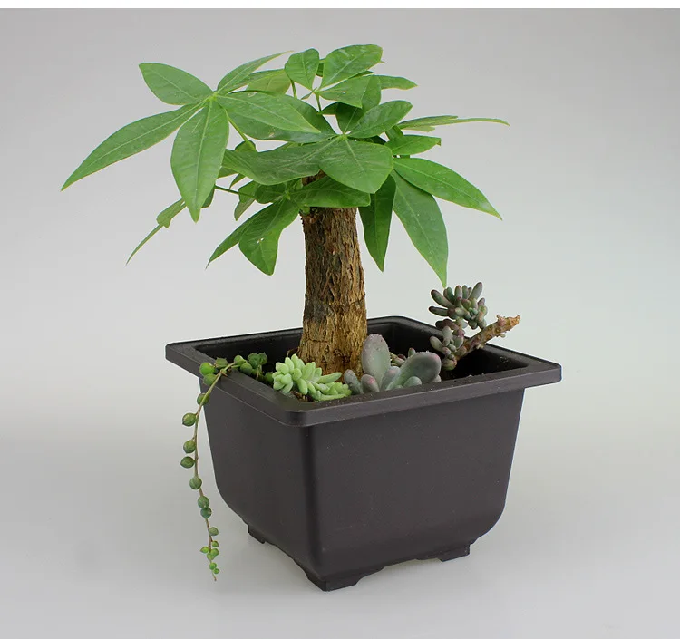 square flower pot plastic flowerpot mimicking Chinese Clay Pots