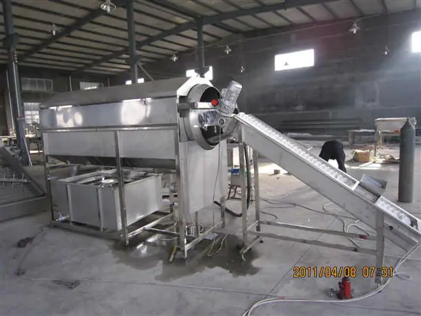 ginger vegetable washing cleaning machine washer processing line