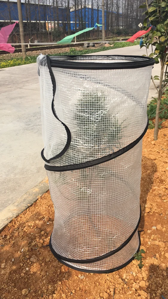 Всплывающая защита для томатных растений служит в качестве Мини садовой теплицы для ускорения роста, всплывающий садовый мешок