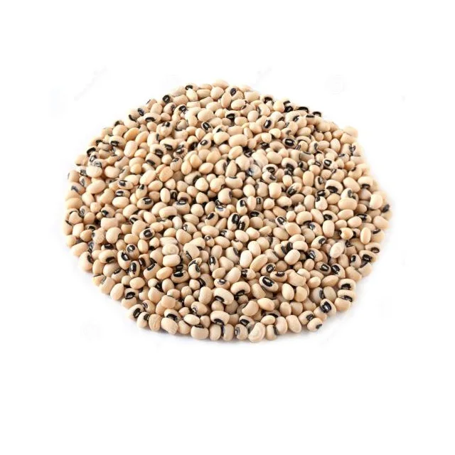  Black eye bean MC &