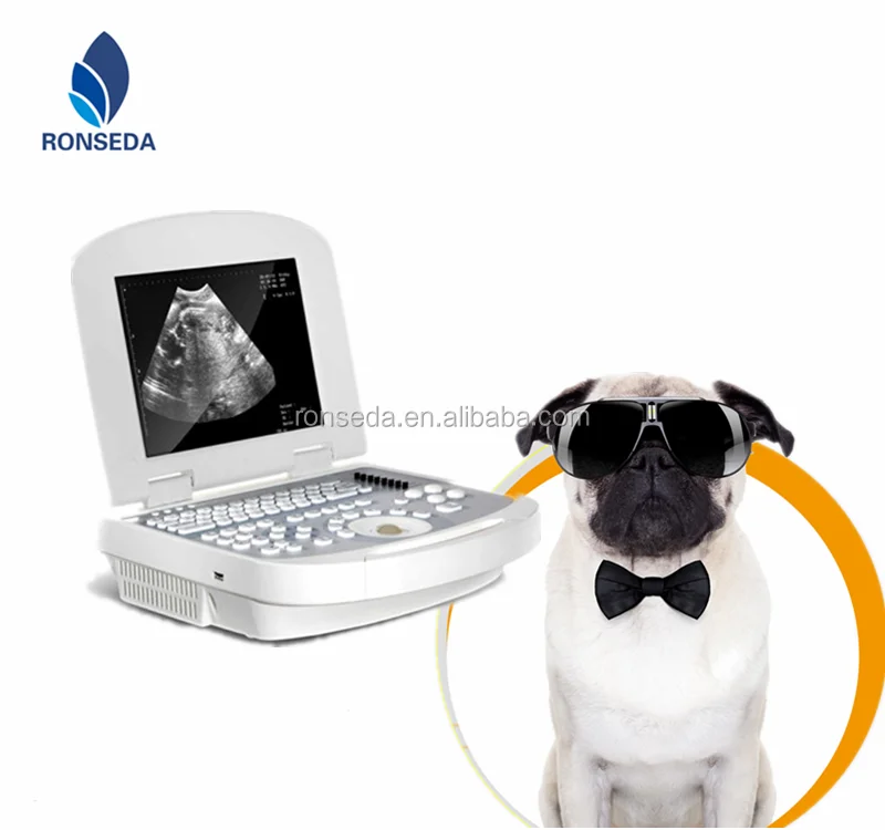 Multi Medical Equipment Veterinary Ultrasound Scanner Animals Health Detection