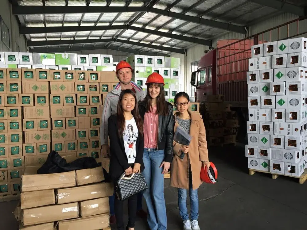 Purity 99.99% R141b Refrigerant Gas for Sale